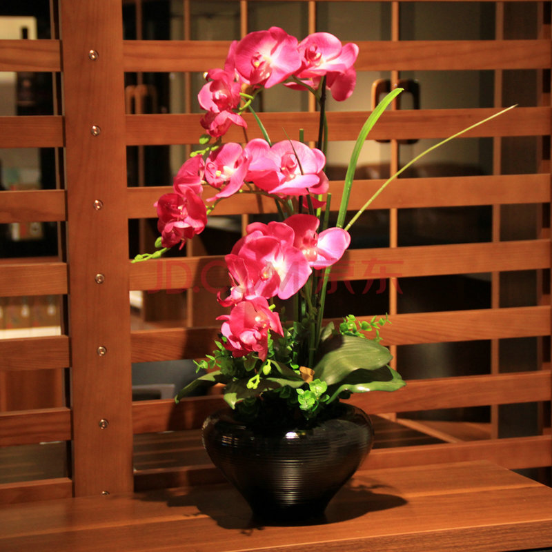 wo 高仿真花蝴蝶兰套装花艺 pu手感过胶插花配陶瓷花瓶 整体成品 家居