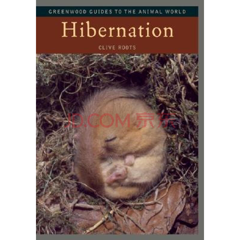 【预订】hibernation