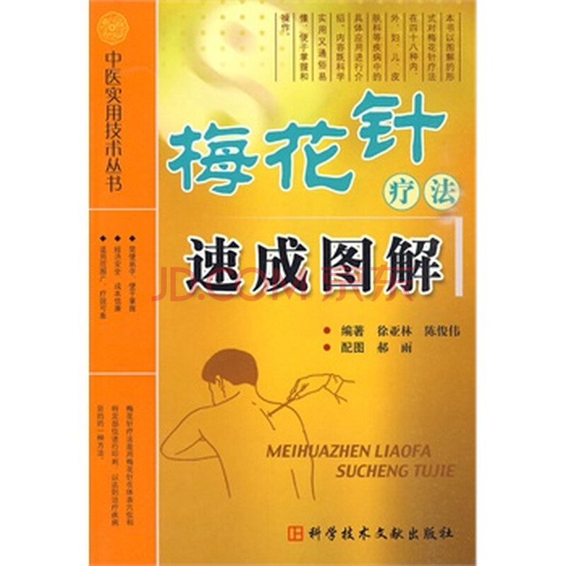 梅花针疗法速成图解+中医实用技术丛书