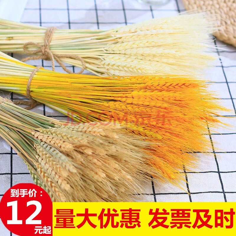 古达仿真天然干小麦穗干花花束田园装饰开业大麦花篮黄金麦穗摆件拍摄