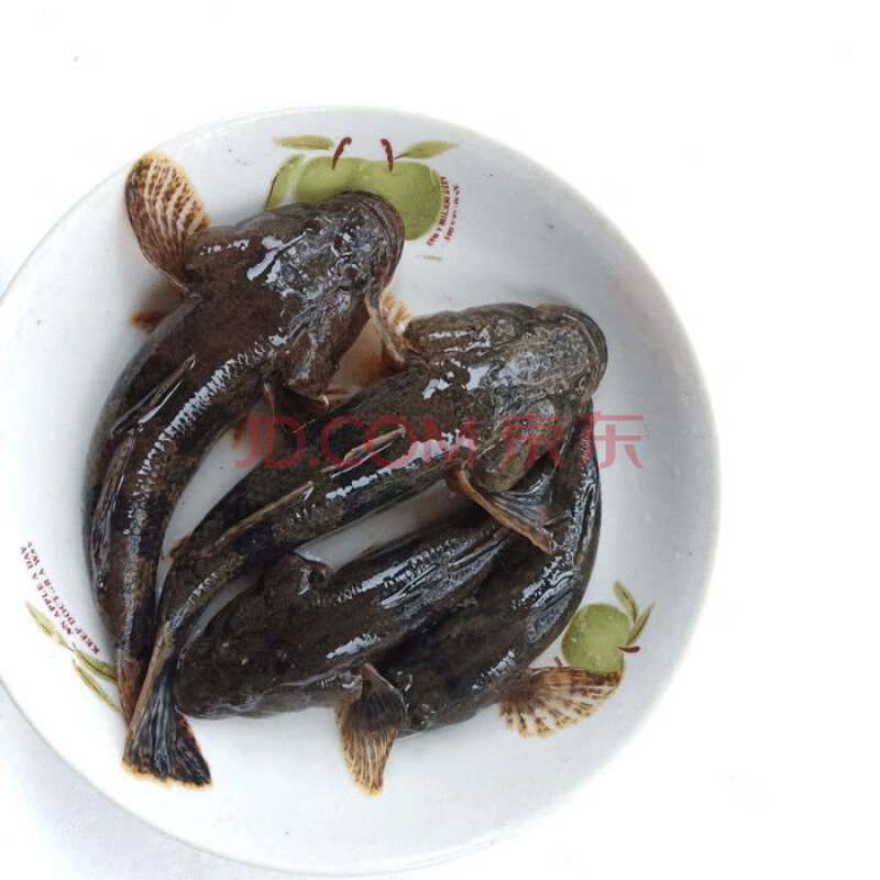 lism正宗沙塘鳢呆子鱼笋壳鱼小河生态塘鳢鱼土步鱼虎头鱼鲜活现杀呆子