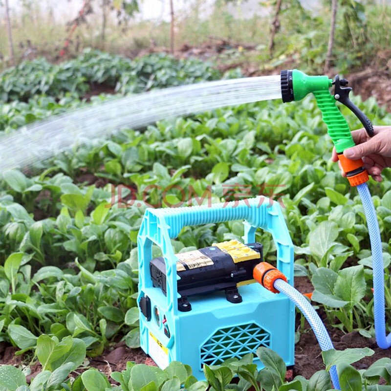 充电抽水泵便携式家用户外淋菜浇菜神器小型12v抽水机