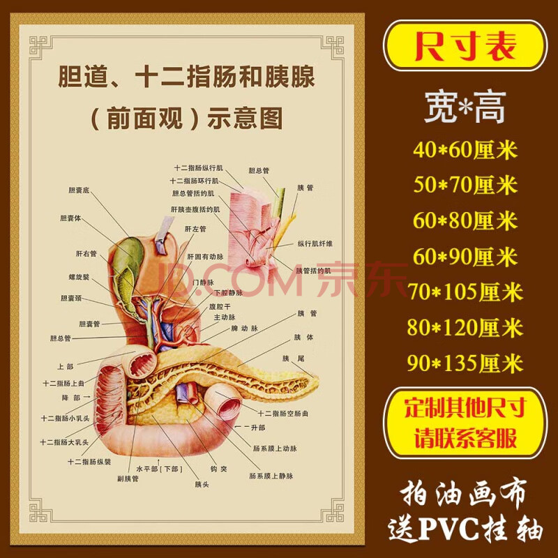 160胆道/十二指肠/胰腺 90x135(厘米) 油画布挂画(送挂钩)