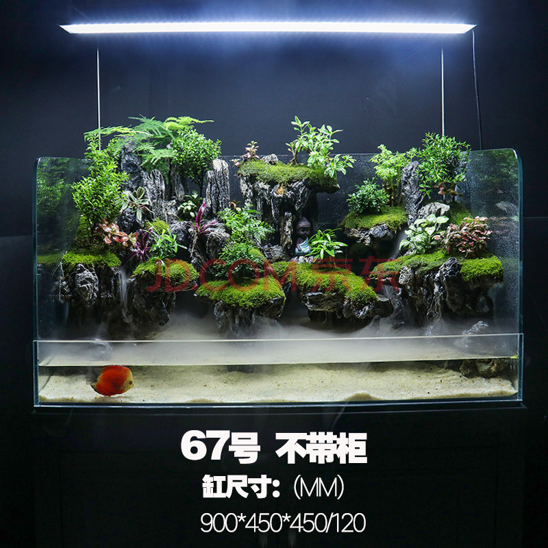 成品大型鱼缸水陆缸雨林缸假山造景微景观生态缸微景观鱼缸绿植物 67