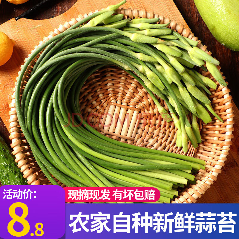 山东新蒜苔当季应季蔬菜农家自种蒜薹蒜毫青蒜苗 1斤装