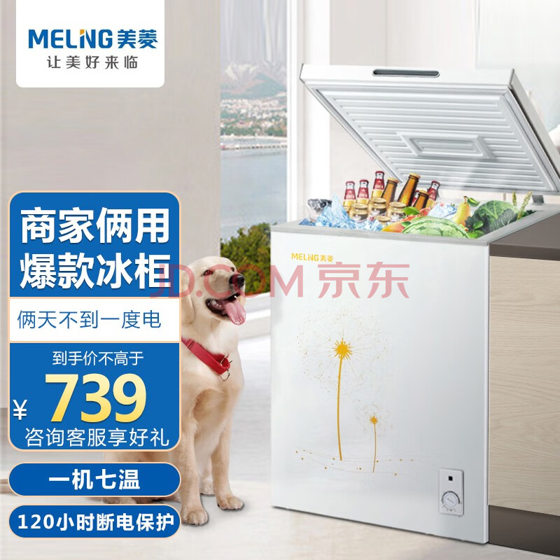 美菱(meling)冰柜100升单温家用小型冷柜冷藏冷冻柜冰柜一级效能顶