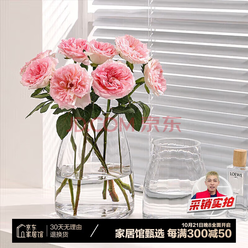 范爷家 简约大口径玻璃花瓶高级感客厅透明水养鲜花玫瑰餐桌插花器摆件