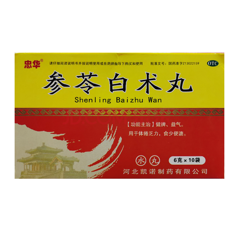 参苓白术丸 6g*10袋