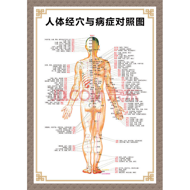 人体穴位图 全身图 中医针灸艾灸拔罐养生十二经络穴位海报大挂图