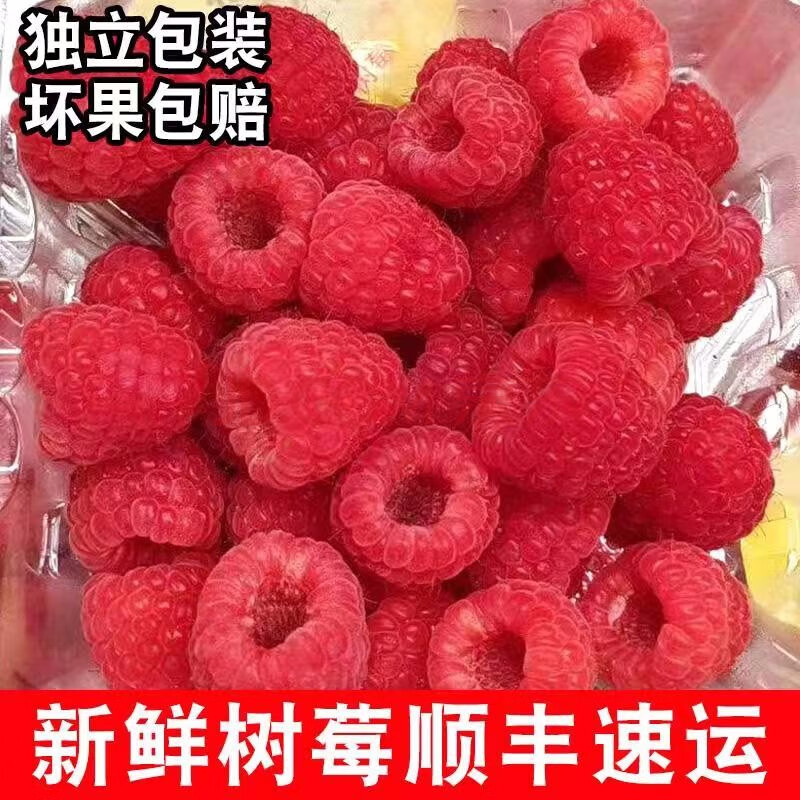 新鲜网红树莓1斤鲜果覆盆子现货红莓孕妇水果小树莓大果顺丰生鲜 红