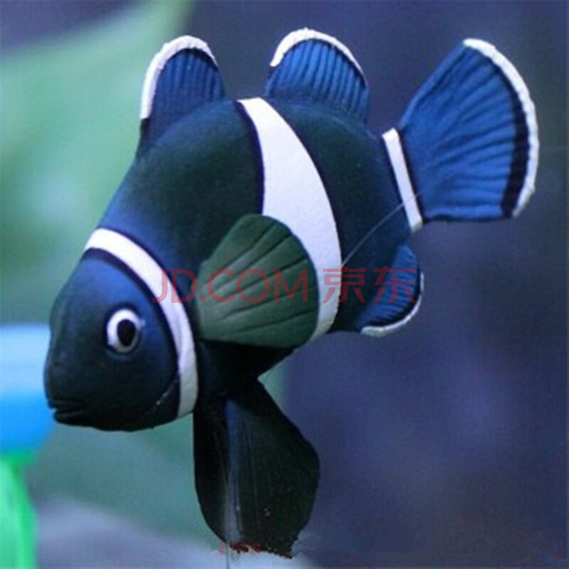 鱼缸水族造景装饰阿可喏斯.荧光仿真彩色小丑鱼.金鱼.彩色狮子鱼.