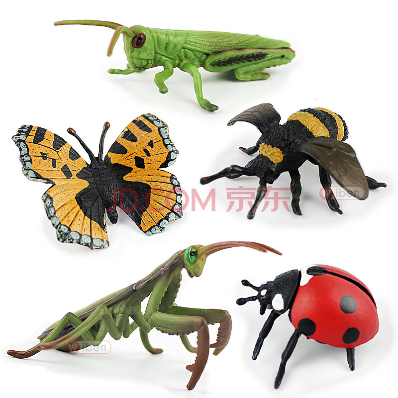 七星瓢虫玩具 儿童仿真昆虫模型动物玩具蜜蜂独仙角蝴蝶草蜢螳螂七星