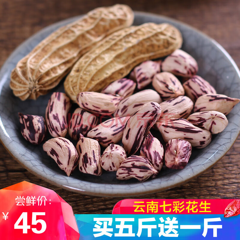 云南七彩花生农家原味七彩野地生花生种子带壳2020新货500g 七彩花生1