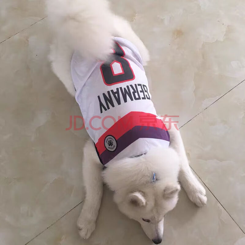 大型犬夏季狗狗衣服中型犬阿拉斯加萨摩耶金毛拉布拉多大狗薄款夏 8号