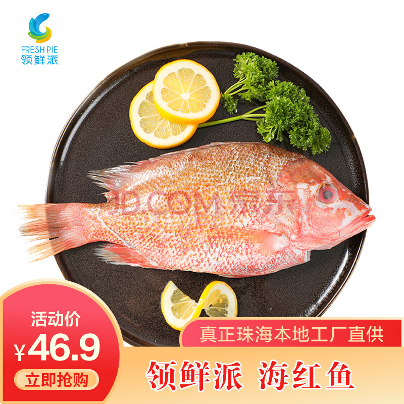 领鲜派深海红鱼现杀去鳞去鳃去三去海红鱼速冻海鲜水产红鱼清蒸烧烤