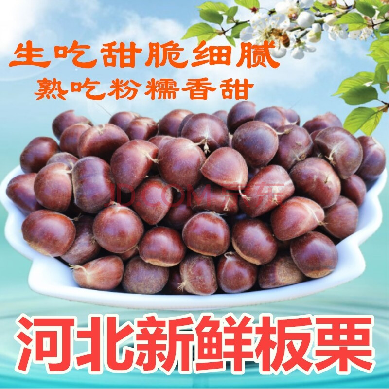 迁人野栗迁西板栗正宗5斤新鲜板栗生新鲜大粒即食小毛栗野生油栗子