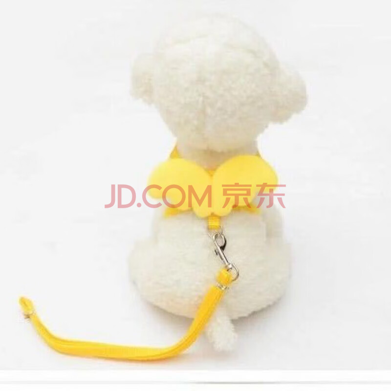 兔子牵引绳子伸缩溜兔绳带链子牵兔绳兔兔垂耳兔龙猫小宠物用品 天使