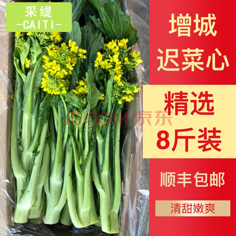 【顺丰/礼盒装】增城菜心 正宗广东增城迟菜心新鲜曾城菜心嫩甜小楼镇