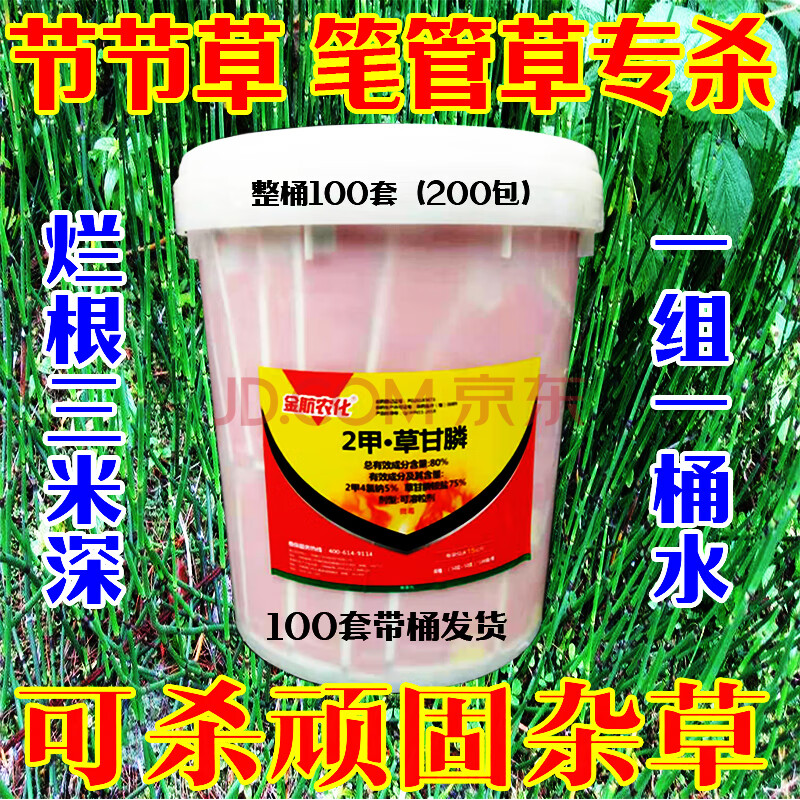 2甲草甘膦除笔筒草笔杆草节节草粉剂杂草除草剂烂根农药一扫除草果园