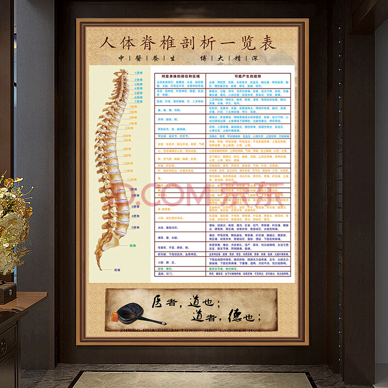 人体脊椎全息图神经分布图脊柱相关疾病示意图中医养生墙贴挂图 人体