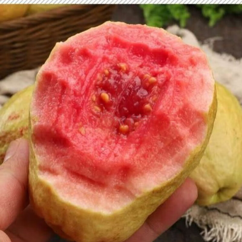 红心软芭乐红心软香芭乐番石榴土芭乐软香鸡屎果现摘现发 白心软芭乐