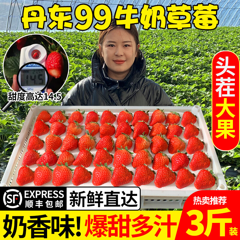 【顺丰】丹东99牛奶草莓新鲜水果当季九九大草莓礼盒整箱 1500g