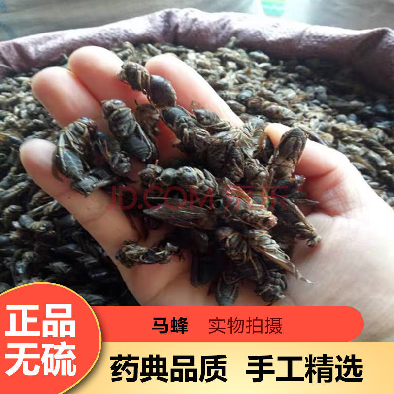 中药材 马蜂干 大黄蜂 马蜂 葫芦蜂 另售土元金边龙虱 100g 250g