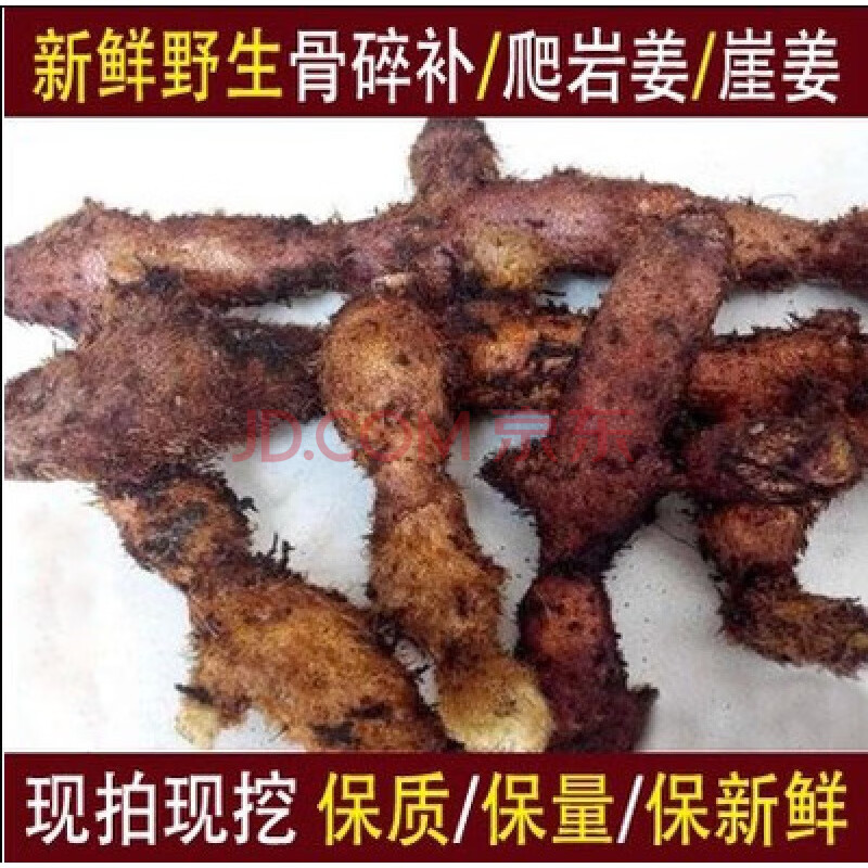 深山新鲜骨碎补 崖姜肉碎补 猴姜毛姜申姜涂抹鬼剃头秃头250g