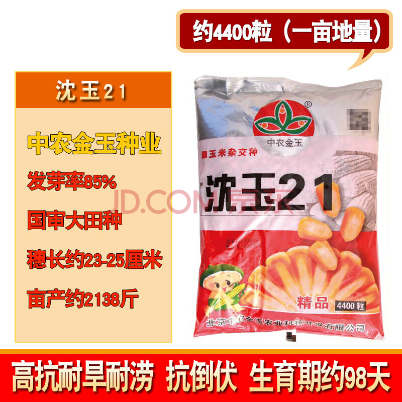 籽粒饱满杂交玉米苞米棒子籽粮食种子 中农金玉沈玉21玉米约4400粒/袋