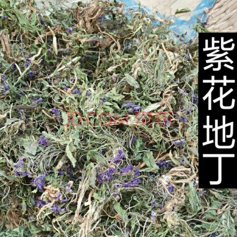 整棵带根带花紫花地丁野菜紫花地丁草苦地丁多规格 500克精选