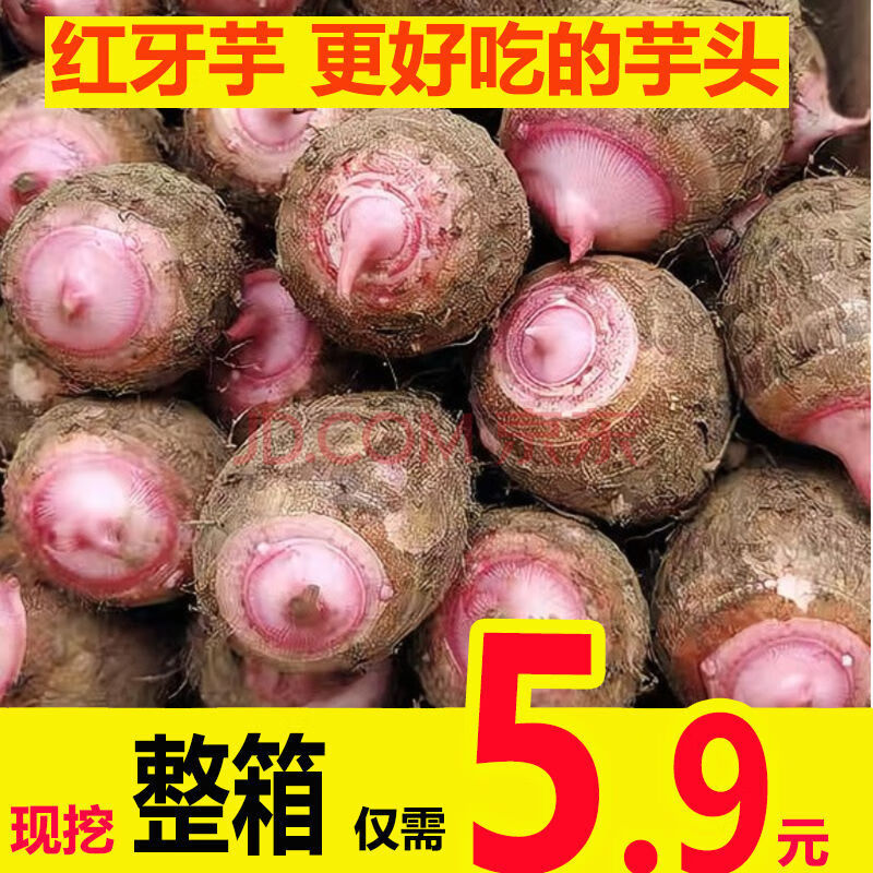 新鲜红芽芋粉香糯红梗芋头批发蔬菜小香芋头毛芋头2/10斤 香糯红牙芋