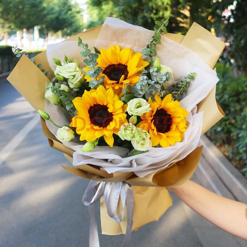 向日葵鲜花速递生日礼物毕业花束送闺蜜朋友同事领导长辈同城送花 3朵