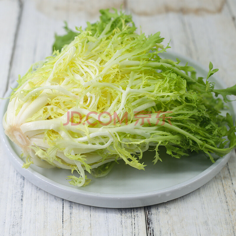 新鲜苦菊生菜2斤黄心苦叶生菜即食蔬菜沙拉食材黄九芽狗芽菜苦苣生鲜