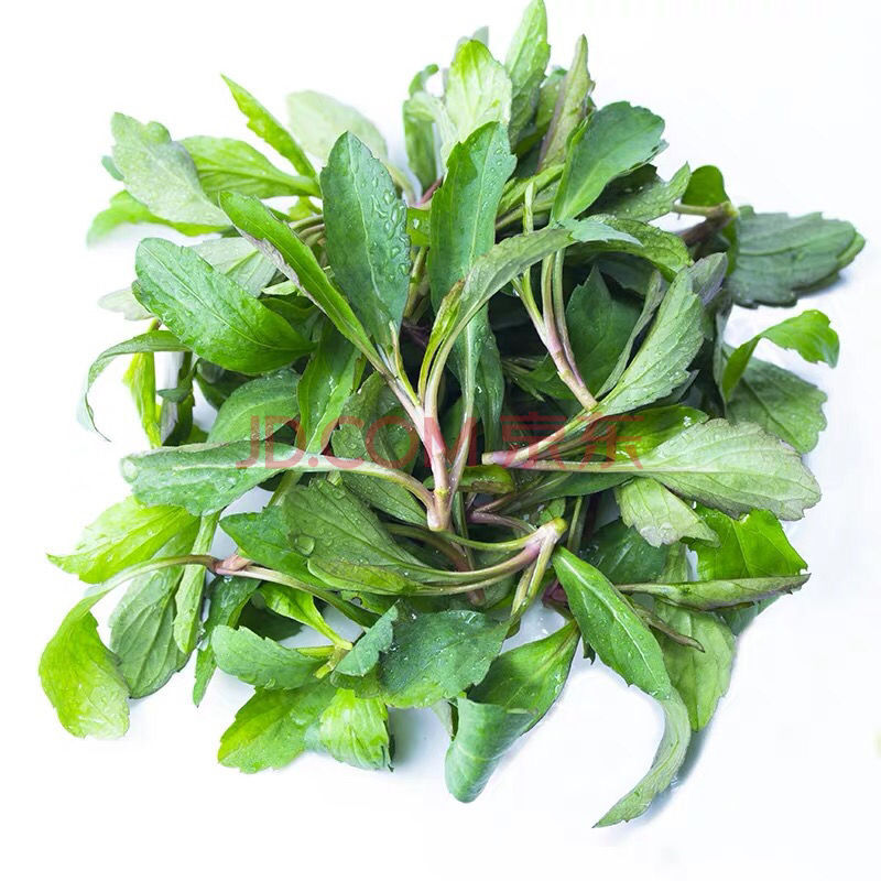 春季头茬马兰头红梗菜山坡野菜鸡儿肠春季野菜现割现发 2斤 马兰头