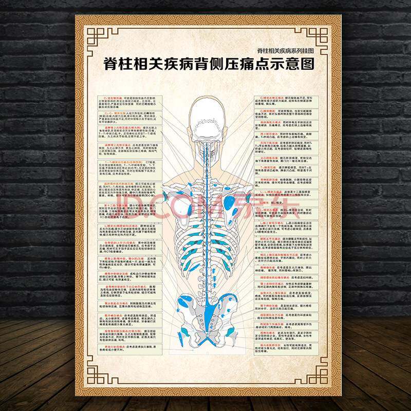 人体内脏结构图 人体肌肉示意分布挂图肌肉解剖图身器官分布穴位图