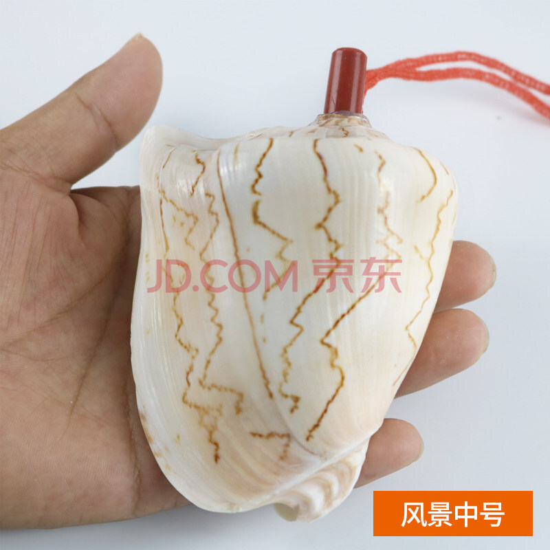 喇叭口哨超大海螺贝壳哨子儿童玩具小螺号小摆件精致 风景号11-12厘米
