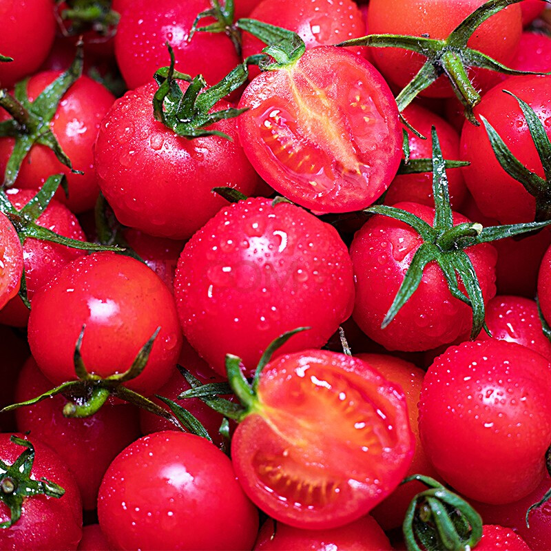 【乡秀才】圣女果小番茄千禧小西红柿当季新鲜蔬菜水果精选3/5斤装