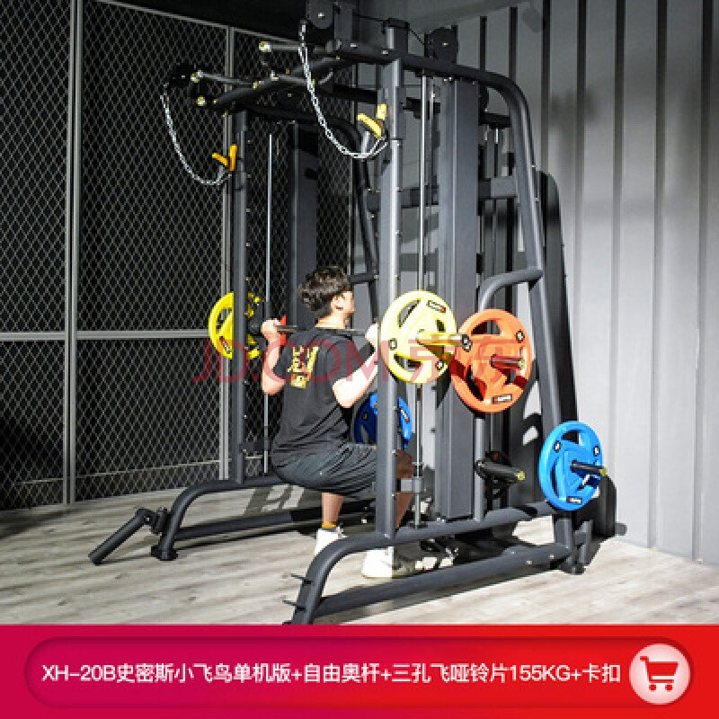 史密斯机综合训练器商用卧推多功能健身房飞鸟套装家用深蹲龙门架 20b