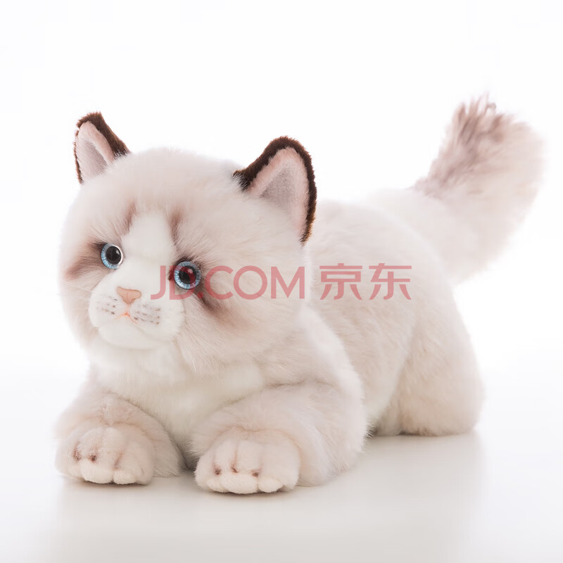 科迈特布偶猫毛绒玩具公仔玩偶娃娃摆件抱枕情人节生日治愈礼物送女朋友