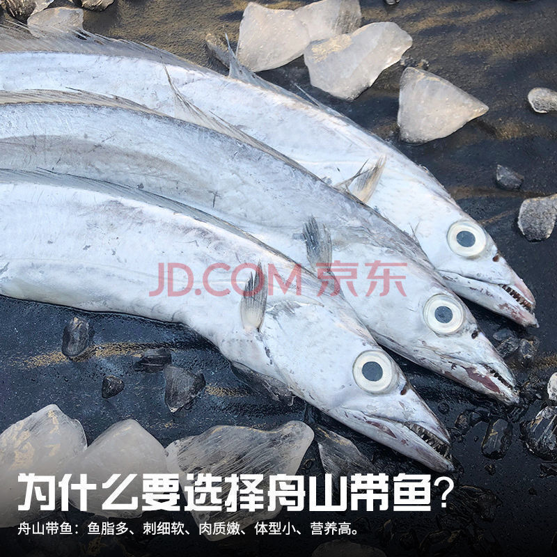 舟山带鱼油带鱼刀鱼带鱼新鲜带鱼东海带鱼鲜活速冻带鱼带鱼段 港荣 不