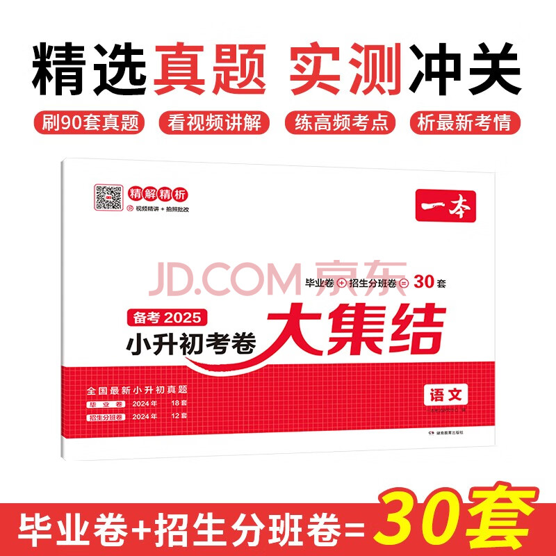 一本语文小升初考卷大集结 2025小学升初中名校冲刺模拟卷毕业卷招生分班卷真题卷专项突破总复习测试卷