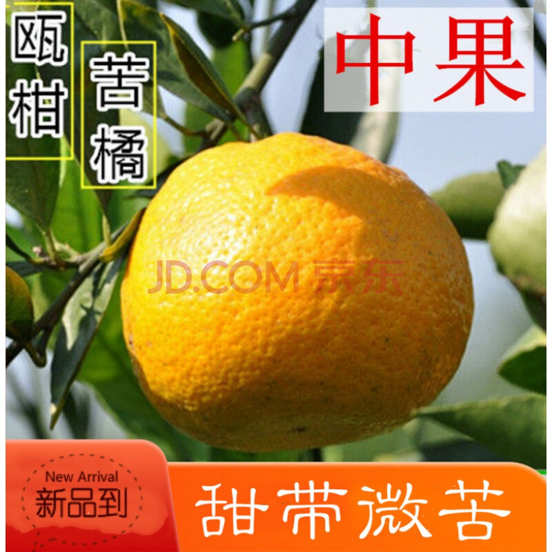 正宗瓯柑温州特产苦橘苦柑丑橘应季新鲜水果欧柑自种鸥柑10斤【实惠