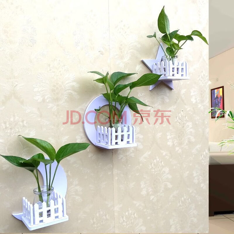 墙上绿萝挂墙墙壁花架水培植物壁挂墙面装饰卧室客厅玻璃花盆花瓶