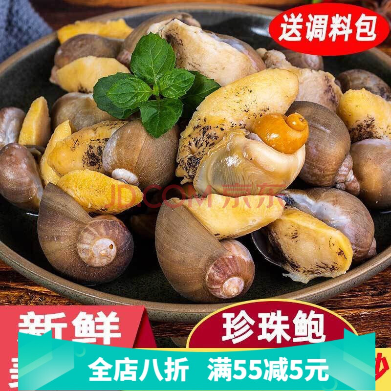 新鲜速冻精品无冰衣黄金鲍螺水泡蛾螺老婆脚海螺贝类海鲜 4斤装