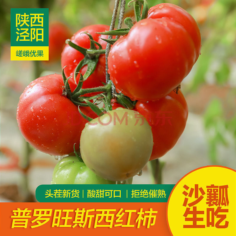 【现货现发】陕西泾阳普罗旺斯水果西红柿番茄现摘孕妇儿童蔬菜沙瓤