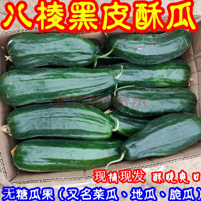 【果园直发】黑皮菜瓜 新鲜5斤烧瓜 八棱酥瓜 水果无糖水果脆瓜 青龙