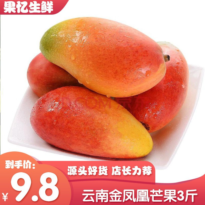 【现摘现发】果忆生鲜 云南元江金凤凰芒果红七彩贵妃芒树上熟新鲜