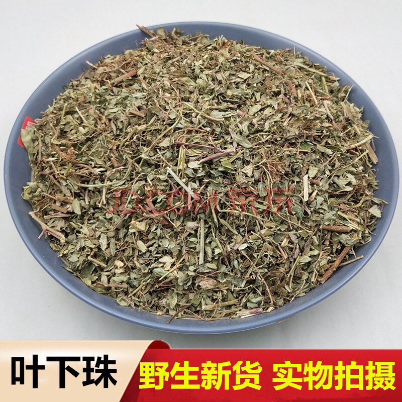 叶下珠 中药材 野生 珍珠草 云南 鱼鳞草 龙珠草 新货500g