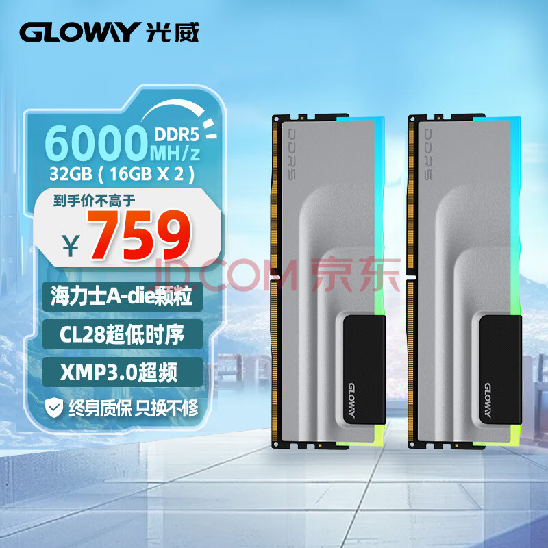 光威（Gloway）32GB(16GBx2)套装 DDR5 6000 台式机内存条 神武RGB系列 海力士A-die颗粒 CL28 适配黑神话悟空