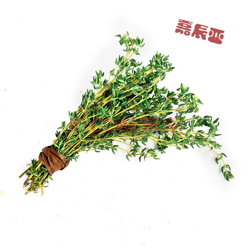 好物】新鲜迷迭香100g迷失迷迪香烧烤烘焙调料西餐煎牛排食用香料香草